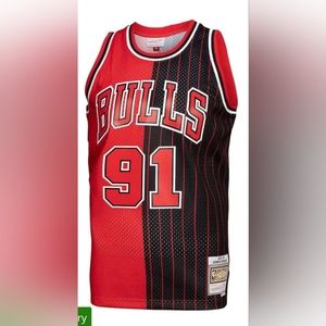 Men's Chicago Bulls Dennis Rodman Mitchell & Ness Red/Black Hardwood Classics 19